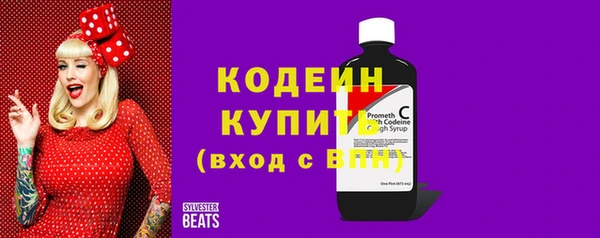 шишки Белокуриха
