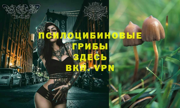 круглые Беломорск