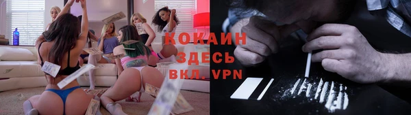 шишки Белокуриха