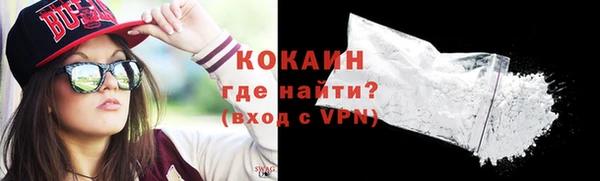 шишки Белокуриха