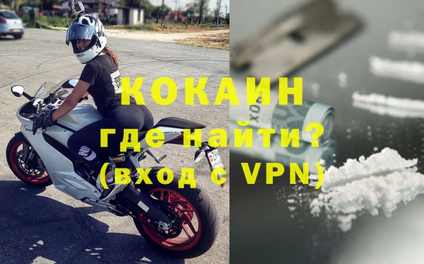шишки Белокуриха
