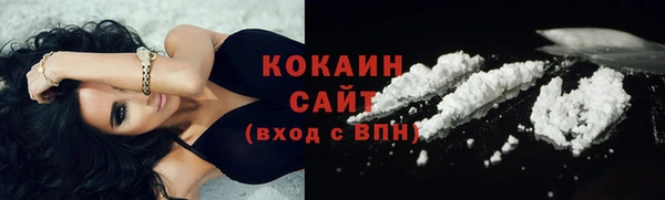 шишки Белокуриха