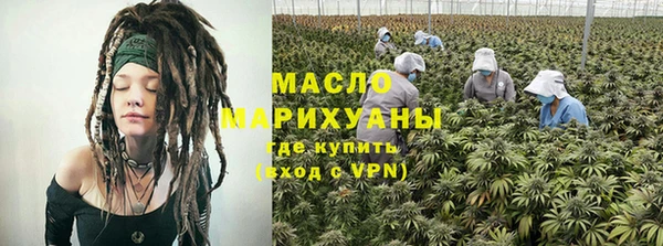 шишки Белокуриха