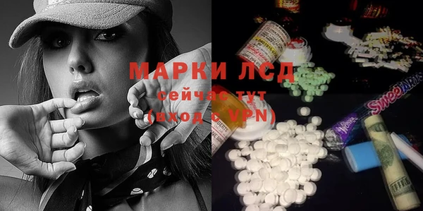 шишки Белокуриха