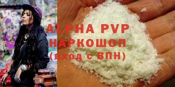 шишки Белокуриха