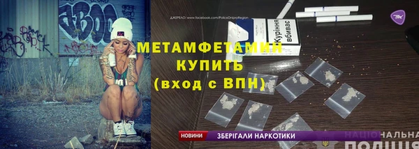 шишки Белокуриха