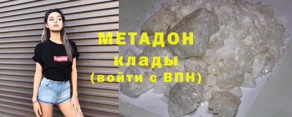 шишки Белокуриха