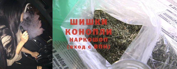 шишки Белокуриха