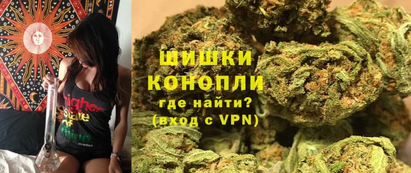 шишки Белокуриха