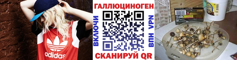 Псилоцибиновые грибы ЛСД  Верхняя Тура 